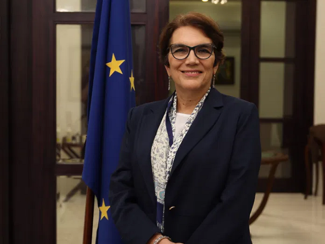 european union ambassador androulla kaminara photo app file