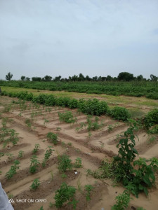 work on 34 dams underway in nagarparkar work on 34 dams underway in nagarparkar