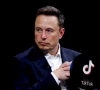 elon musk dismisses tiktok acquisition plans
