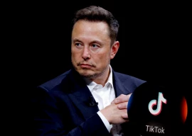 elon musk dismisses tiktok acquisition plans