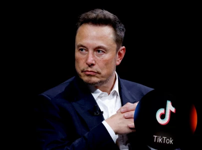 elon musk dismisses tiktok acquisition plans