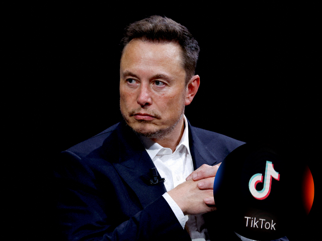 elon musk considers bringing back vine amid tiktok ban to enhance x platform