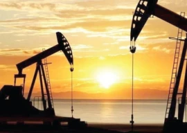 over 70 blocks picked for oil gas exploration