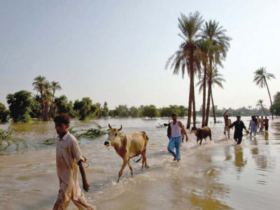 engro focuses on people residing close to its plants engro focuses on people residing close to its plants