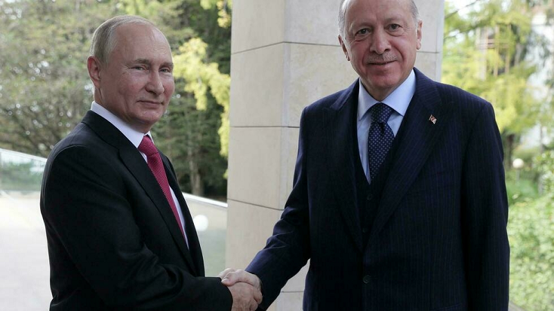 Erdogan urges Putin to declare Ukraine ceasefire, make peace