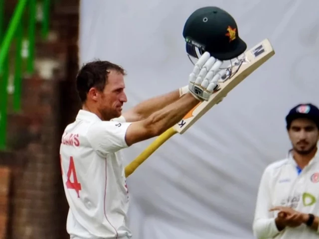 ervine stars as zim take control