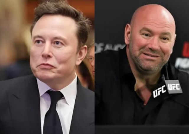 elon musk supports ufc boss dana white s media tirade with one word message