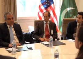 naqvi meets us pakistan council to boost mining it investment