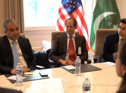 naqvi meets us pakistan council to boost mining it investment