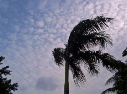 cold winds continue to sweep karachi temperature expected to drop to 9 c