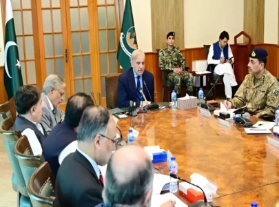 apex body meeting postponed due to pm s ill health