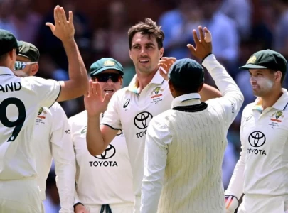 2nd test australia crush india by 10 wickets to level series 1 1