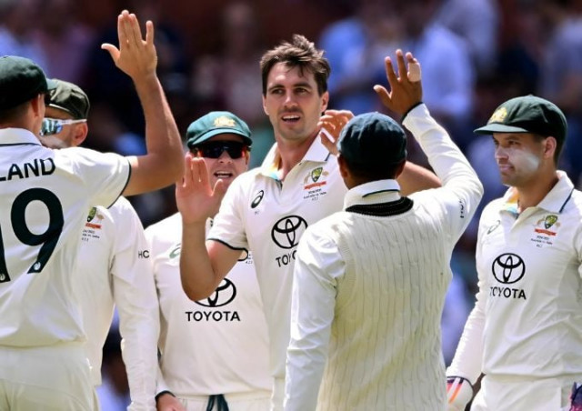 2nd test australia crush india by 10 wickets to level series 1 1