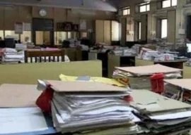 govt declares public holiday on december 25