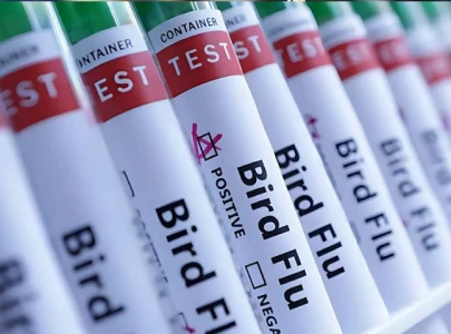 canada reports its first suspected human case of h5 bird flu