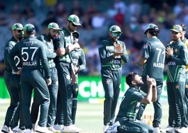 green shirts receive widespread praise for historic odi series win against australia