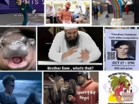 the memes that defined 2024 a year of unexpected internet sensation