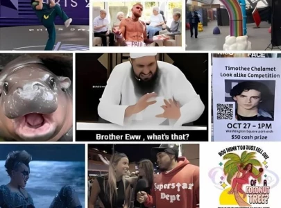 the memes that defined 2024 a year of unexpected internet sensation