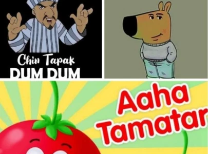 desi memes that dominated 2024 from juice pila do to aha tamatar