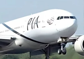 govt rehires e y for pia sell off