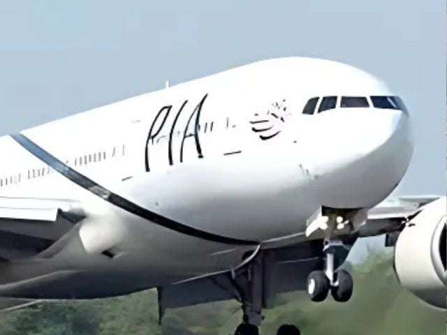 govt rehires e y for pia sell off