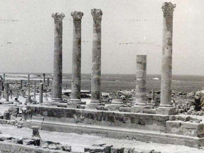 recalling the libyan atura