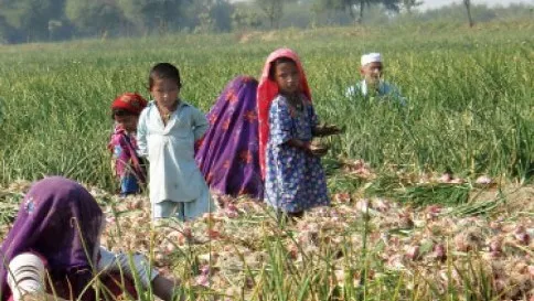 group of farmers takes on old organic fertiliser group of farmers takes on old organic fertiliser