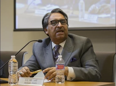 israel must be held accountable for genocide of palestinians fm jillani