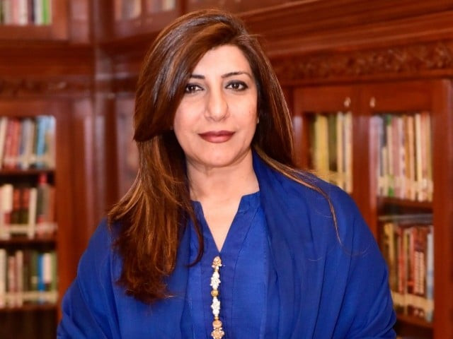 foreign office spokesperson aisha farooqui photo file foreign office spokesperson aisha farooqui photo file