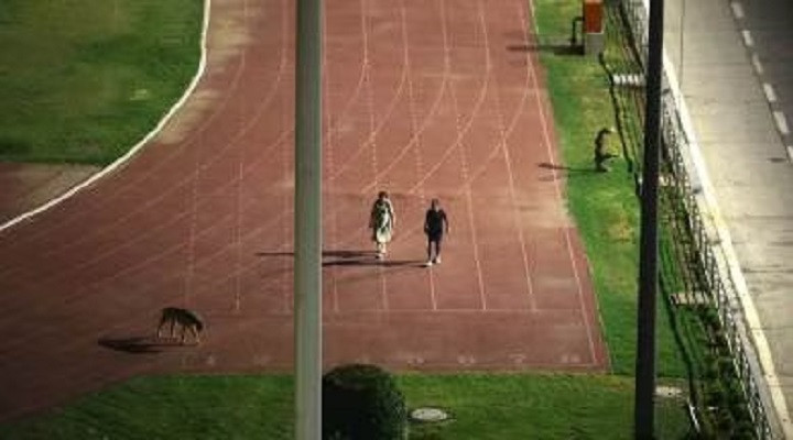 Photo of Dog day afternoon: India banishes bureaucrat couple amid stadium dog walk furore