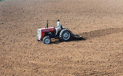 vegetable cultivation producers over dependent on seed imports vegetable cultivation producers over dependent on seed imports