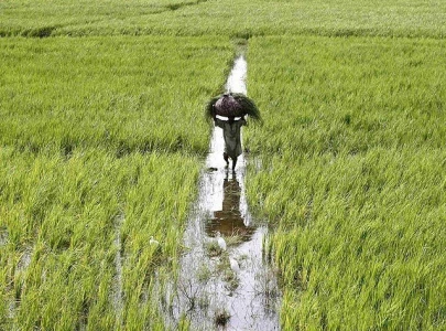 rs50b farm package demanded from centre