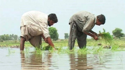 farmers call for canal maintenance farmers call for canal maintenance