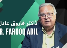 lost pages of history