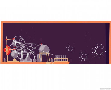 no practicals a year without lab work left students with learning gaps no practicals a year without lab work left students with learning gaps