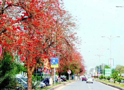 art show peace not terrorism is k p s identity speakers art show peace not terrorism is k p s identity speakers