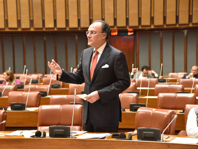 finance minister muhammad aurangzeb addressing senate on monday photo facebook senate