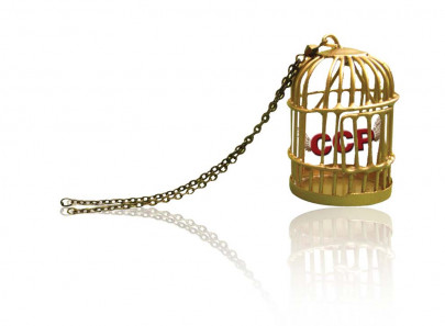 financial constraints impede implementation of anti trust law