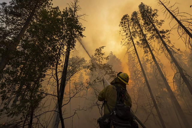 یونان اور کیلی فورنیا میں شدید گرمی کی لہروں کے درمیان جنگل کی آگ سے لڑ رہے ہیں۔  ایکسپریس ٹریبیون
