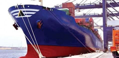 first successful sea shipment of mangoes to uk and netherlands