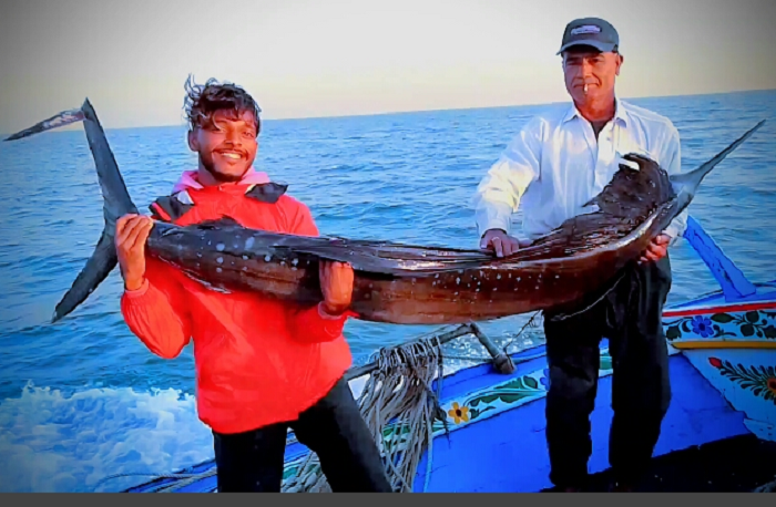 a team of fishermen from ibrahim hyderi caught a huge sailfish photo express