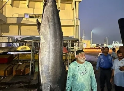 record set as 210 kg marlin caught off karachi record set as 210 kg marlin caught off karachi