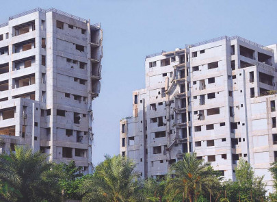 five wicket martin inspires new zealand