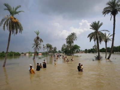 3 2m hectares of crops destroyed in floods