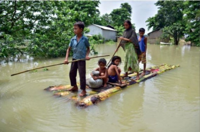 floods kill scores in india s tea growing assam nine rhinos drown floods kill scores in india s tea growing assam nine rhinos drown