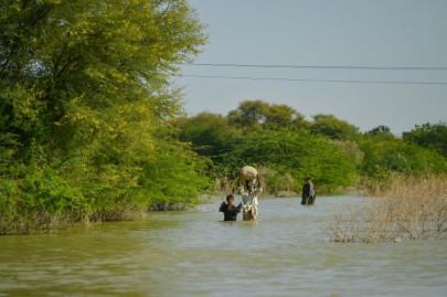rs12b allocated for flood victims rs12b allocated for flood victims