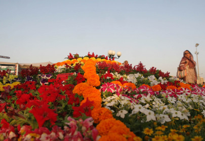60th flower show spring fever hits our coast