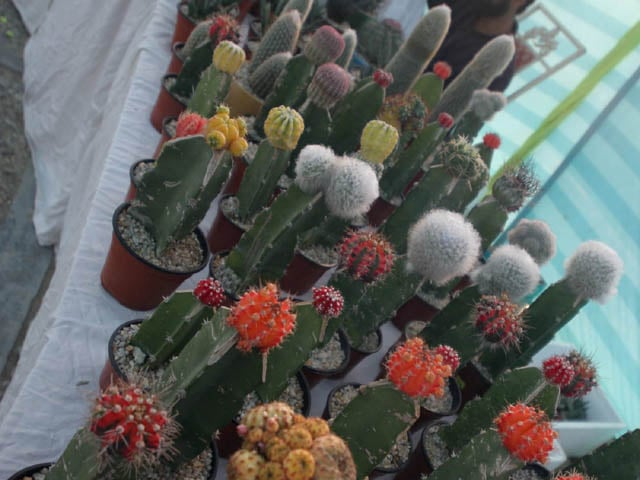 Updated Feb 25, 2011