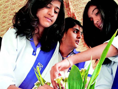 students week colours of flowers regional dresses games at arid varsity students week colours of flowers regional dresses games at arid varsity