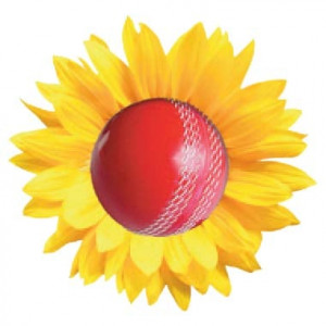 the bright side of pakistani cricket the bright side of pakistani cricket